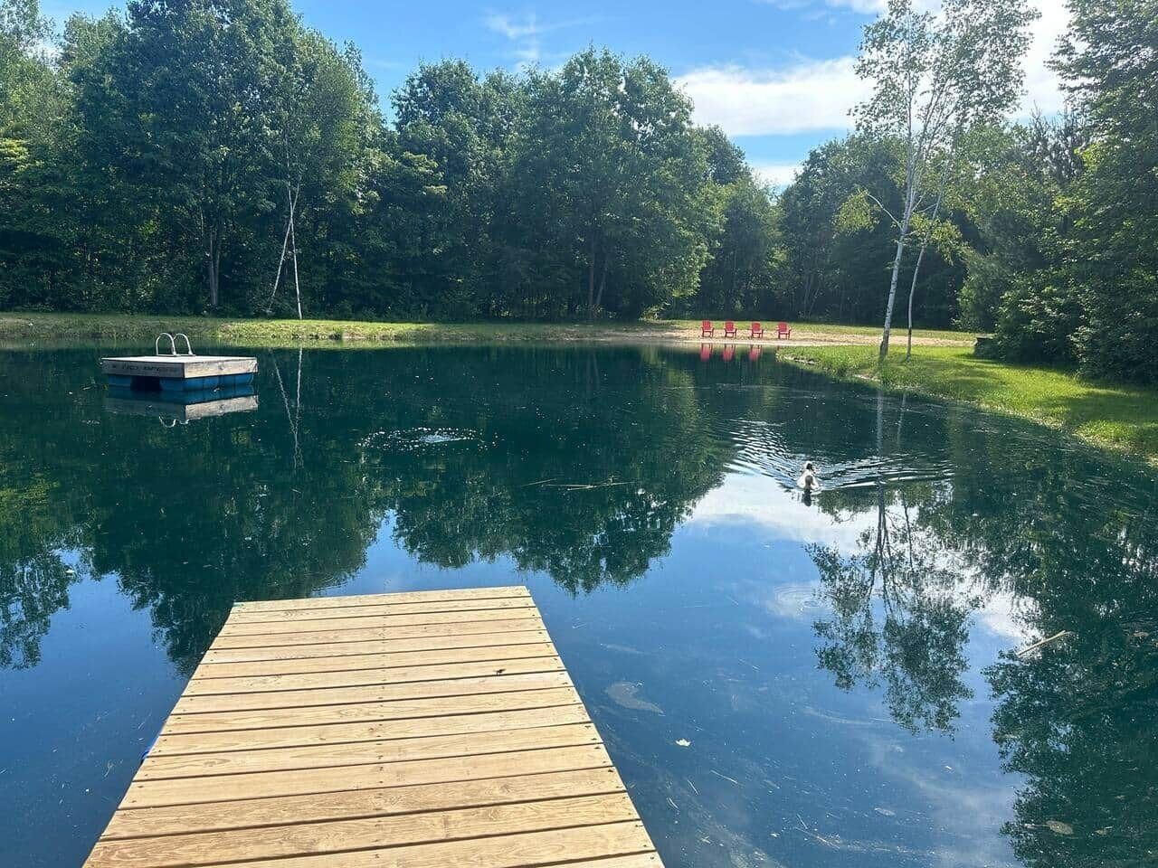 Puinen laituri, joka ulottuu tyynelle järvelle, jonka ympärillä on puita.