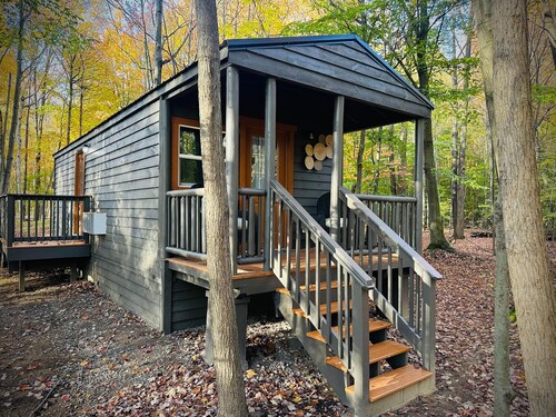 Unit 3 Lodge Cabin (no pets allowed)