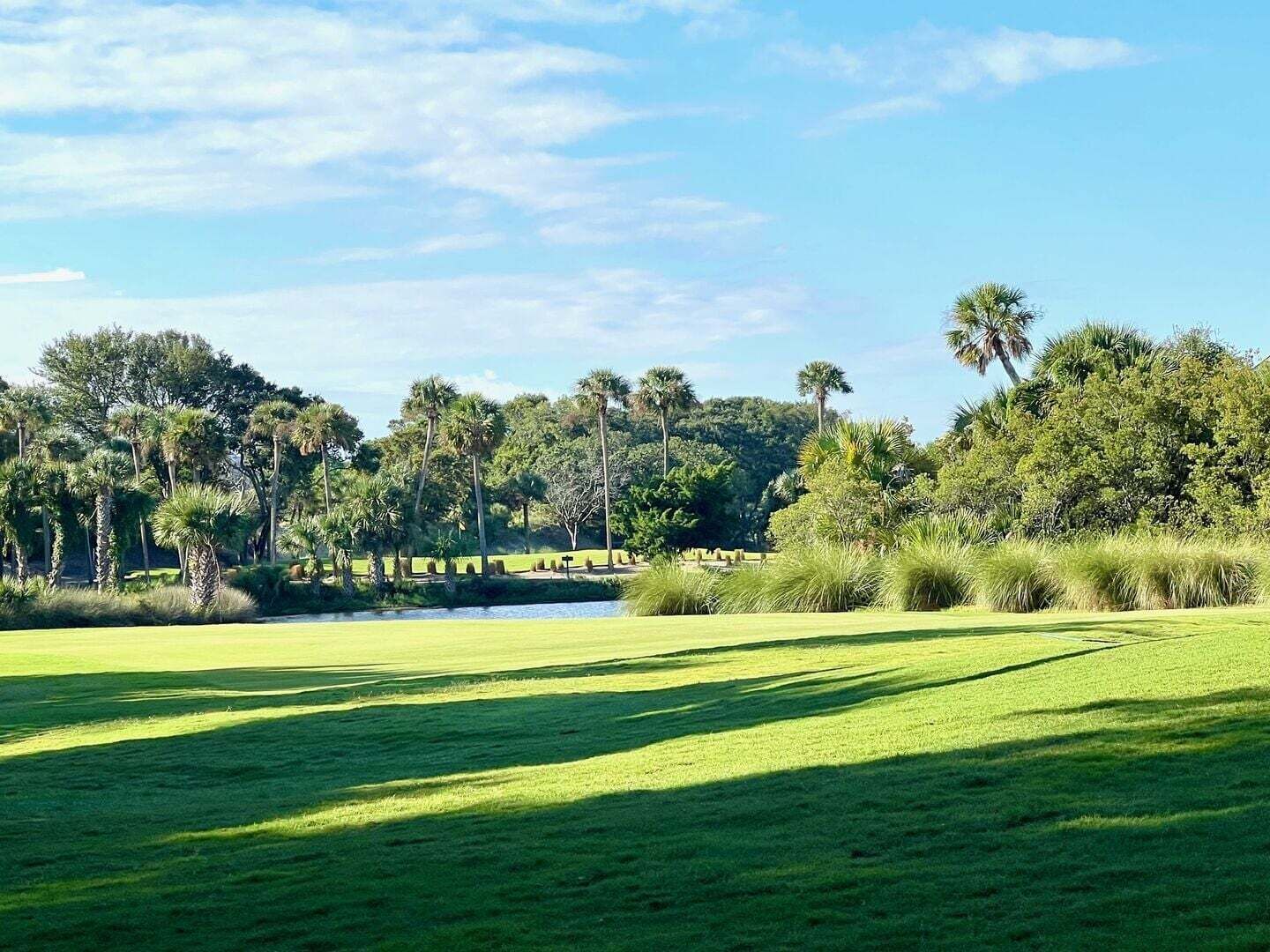 Un campo da golf con un ostacolo d'acqua, circondato da palme e vegetazione lussureggiante.