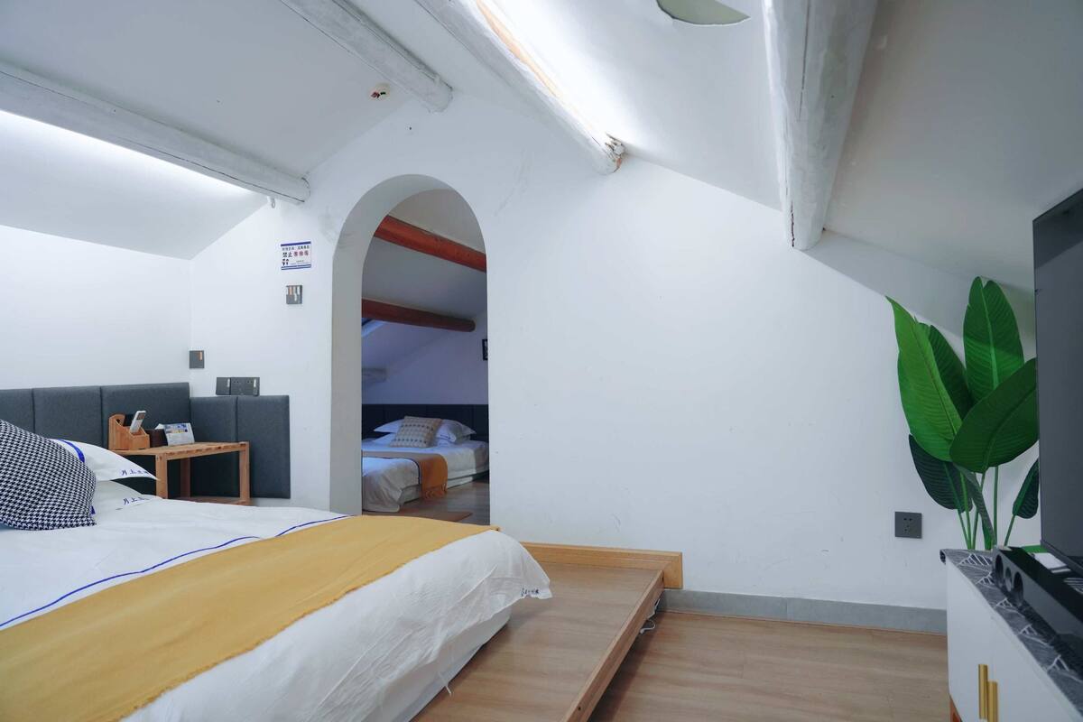 Habitación de hotel con cama, una mesita, televisor y una planta.