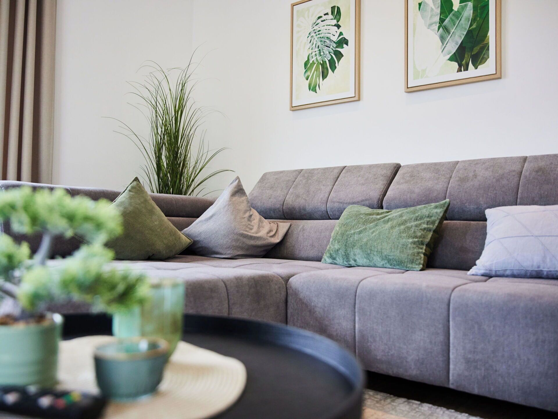 Un salon avec un canapé gris, des coussins verts et gris, une table basse ronde et deux reproductions de plantes encadrées accrochées au mur.