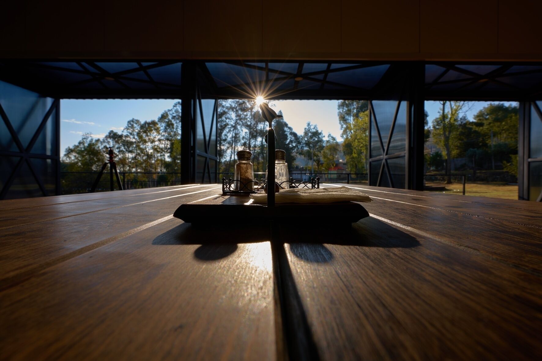 A wooden table with a salt shaker and a book, under a structure with a view of trees and a clear sky.
