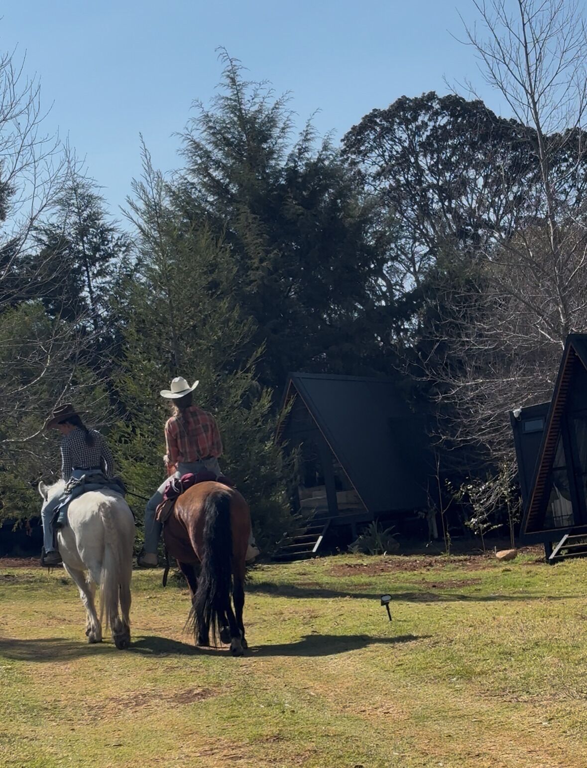 Two people riding horses in a grassy area with a cabin in the background.