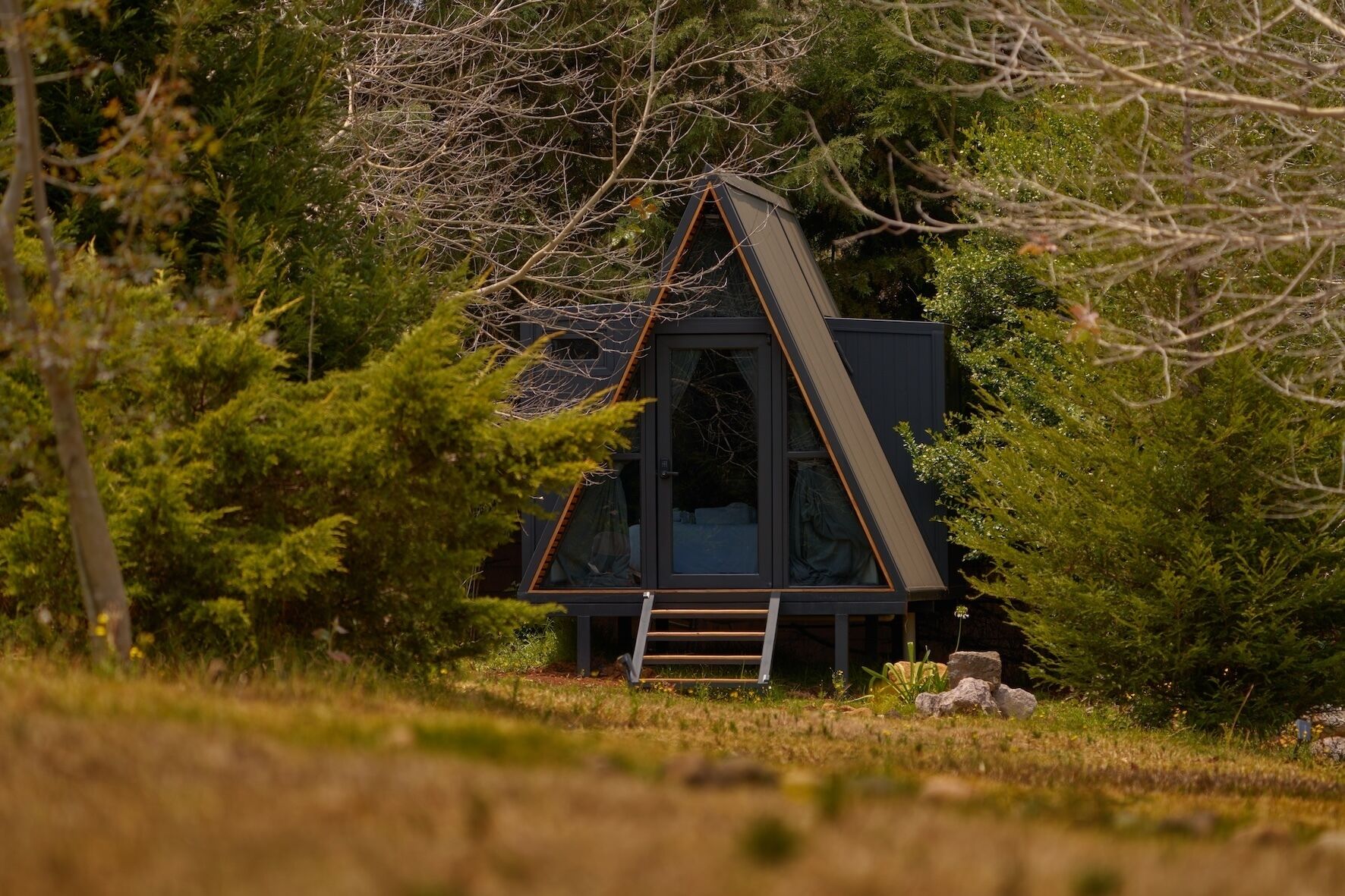 Una casa moderna de forma triangular con una escalera que conduce a la entrada, rodeada de vegetación densa.