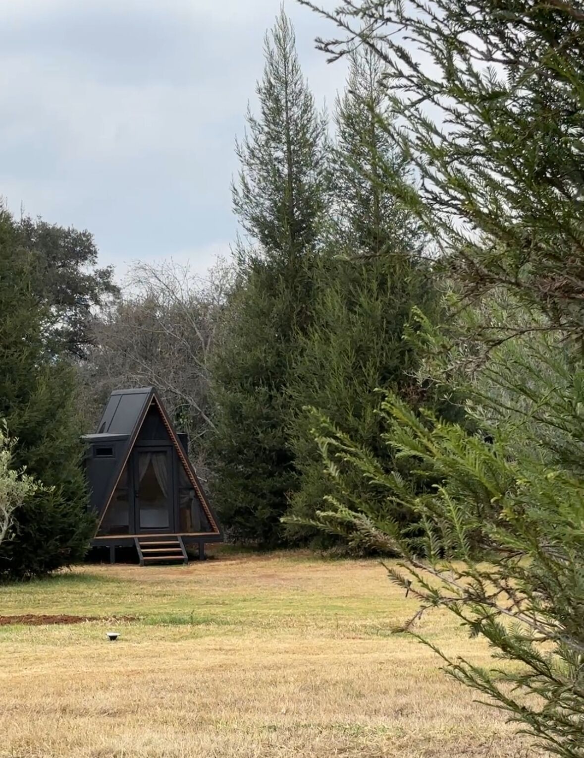 Una cabaña pequeña y oscura con techo triangular, rodeada de densos árboles de hoja perenne y un campo cubierto de césped.