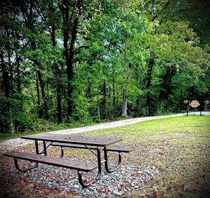 Outdoor dining - Luxury 4 bed 2 Bath Farm near Wildcat (East Bernstadt)