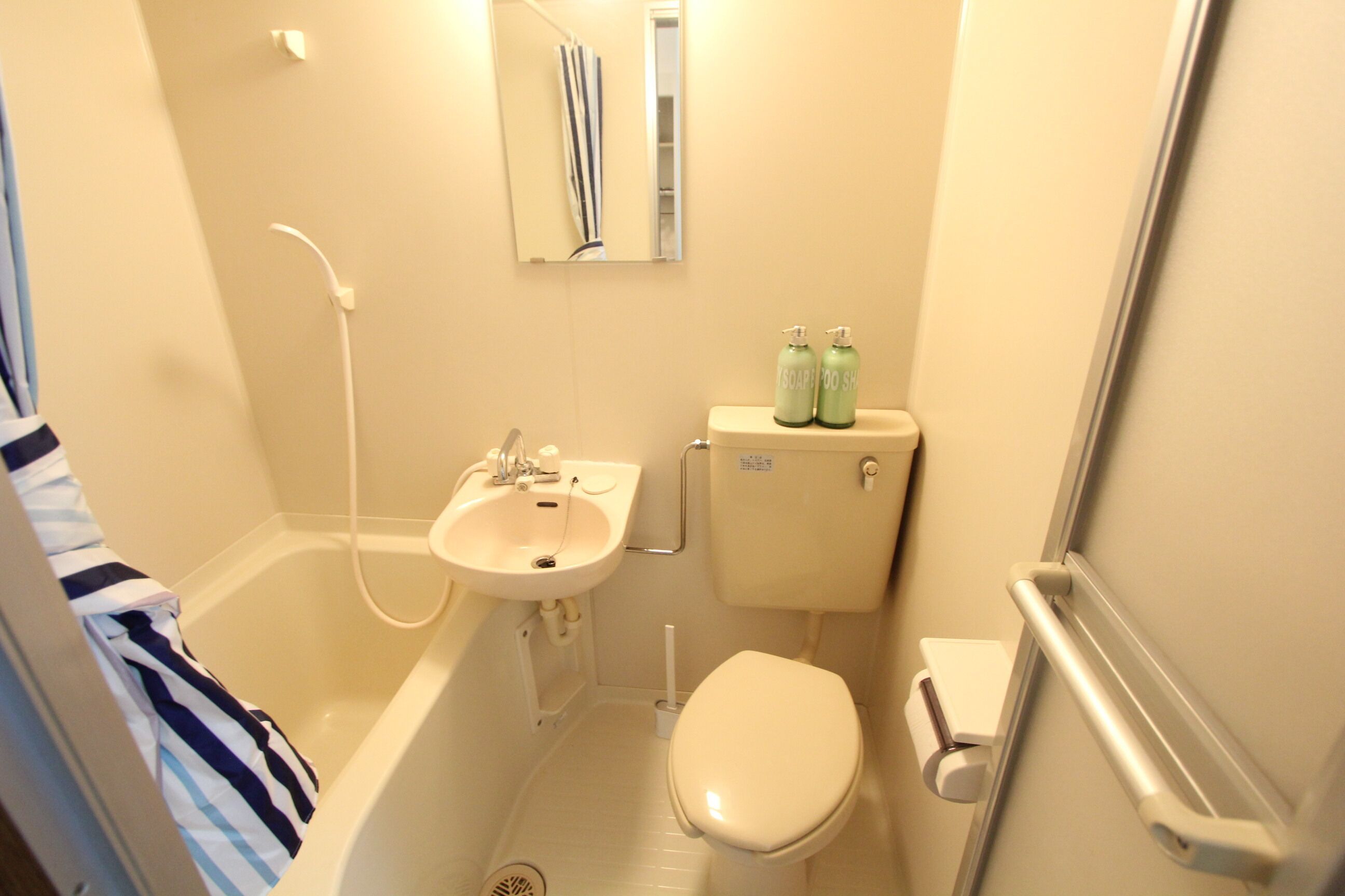 Hair dryer, towels, soap, toilet paper