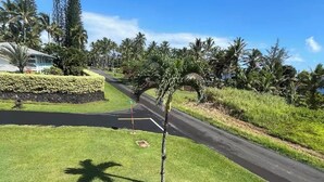 Una strada ben tenuta con un'aiuola erbosa, palme e un cielo azzurro limpido.