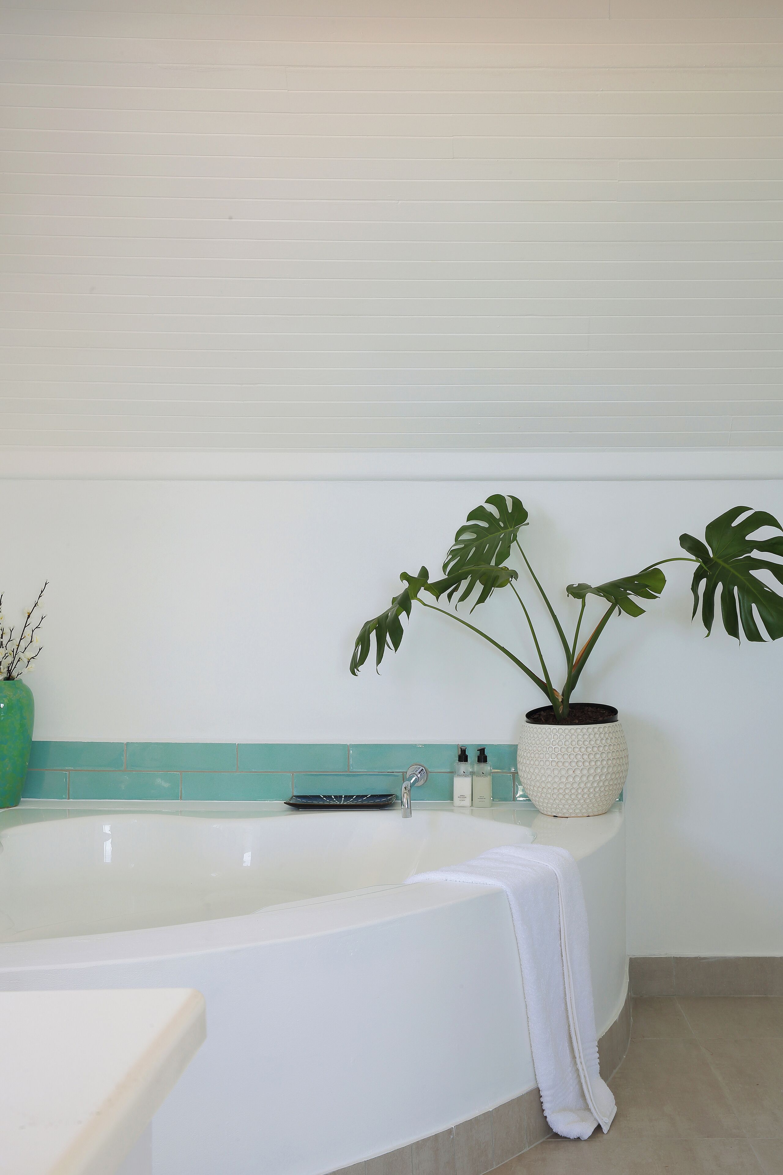 A bathroom with a white bathtub, a green plant, and a white towel.