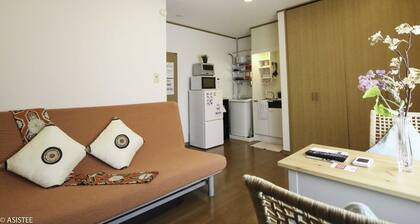 Fuji House / Suginami-ku Tokyo