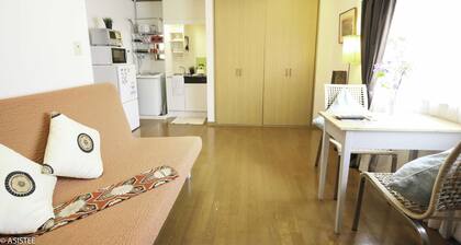 Fuji House / Suginami-ku Tokyo