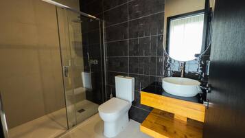 A modern bathroom with a glass-enclosed shower, a toilet, and a sink with a mirror above it.