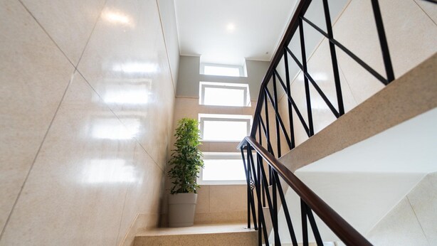 A staircase with a potted plant, a handrail, and a modern design.