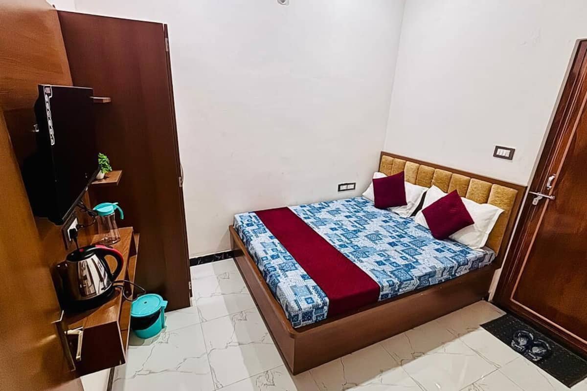 Un dormitorio con cama, televisor, una mesita con una planta y un armario.