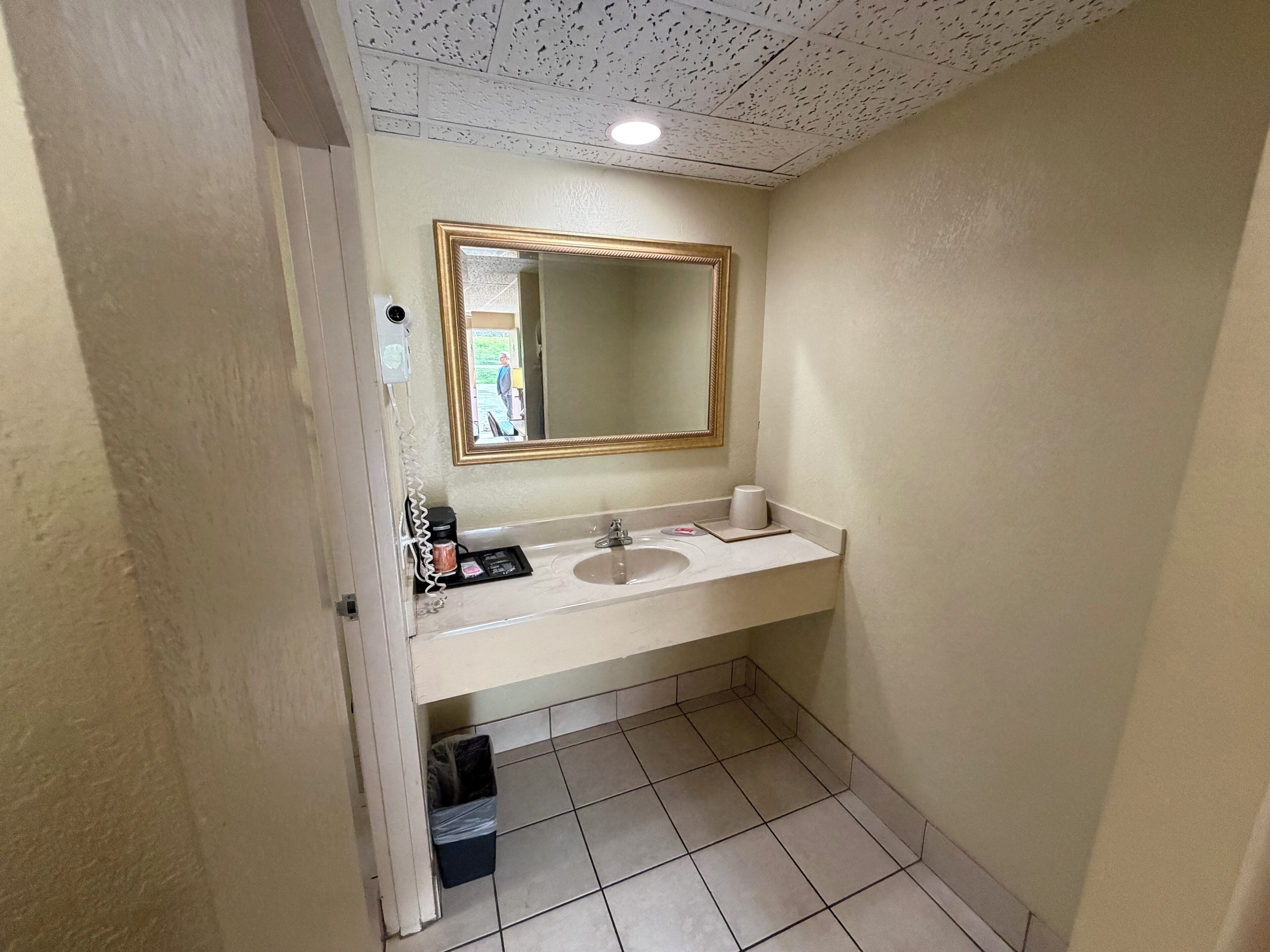 A bathroom with a white sink, a mirror with a gold frame, and a trash bin.