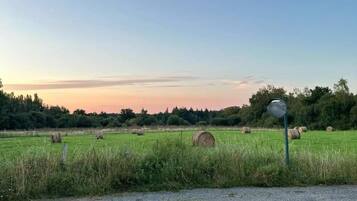 Paisaje rural con pacas de heno en un campo, una carretera y un poste metálico con señales.