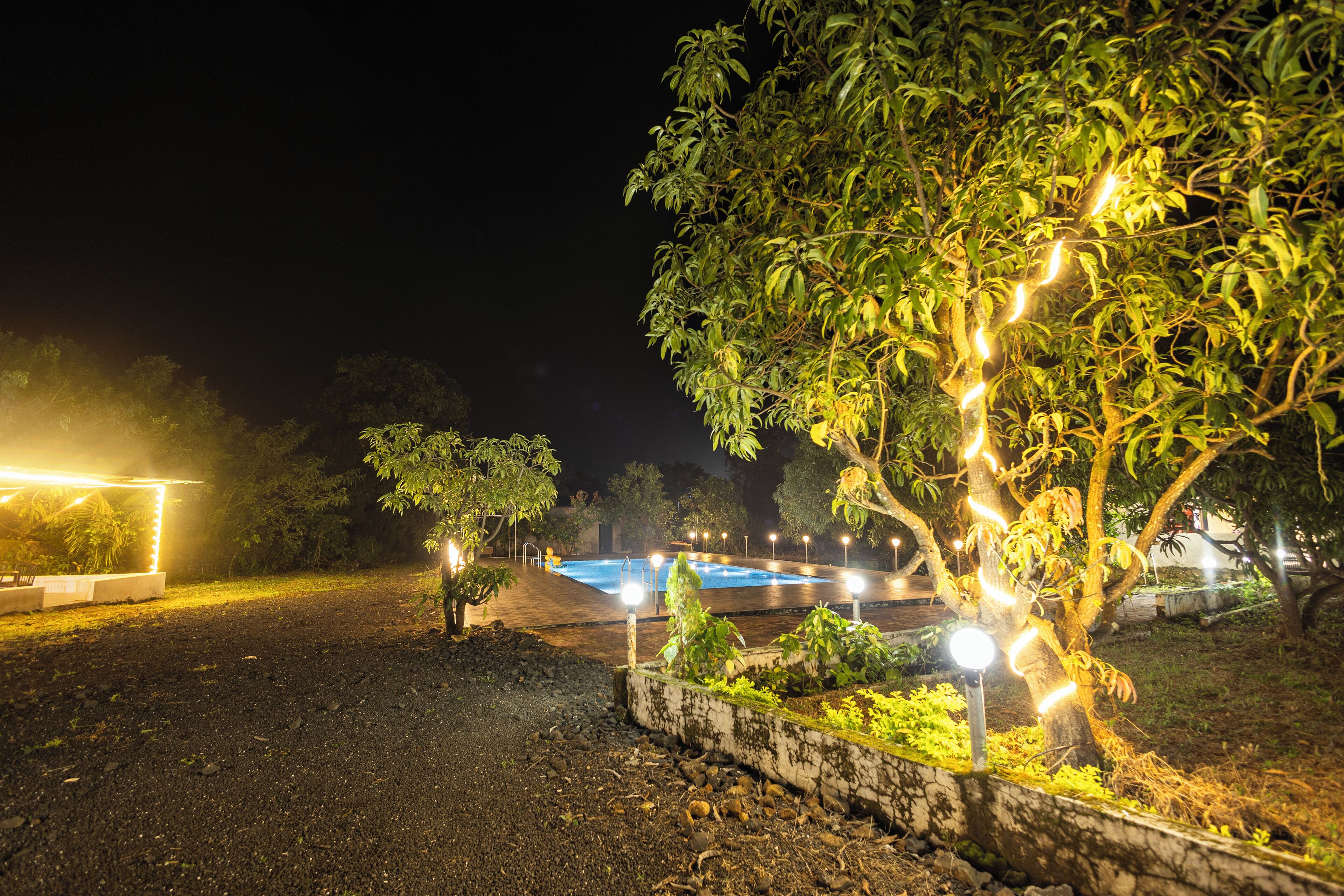 A nighttime outdoor area with a swimming pool, surrounded by trees and illuminated by string lights.