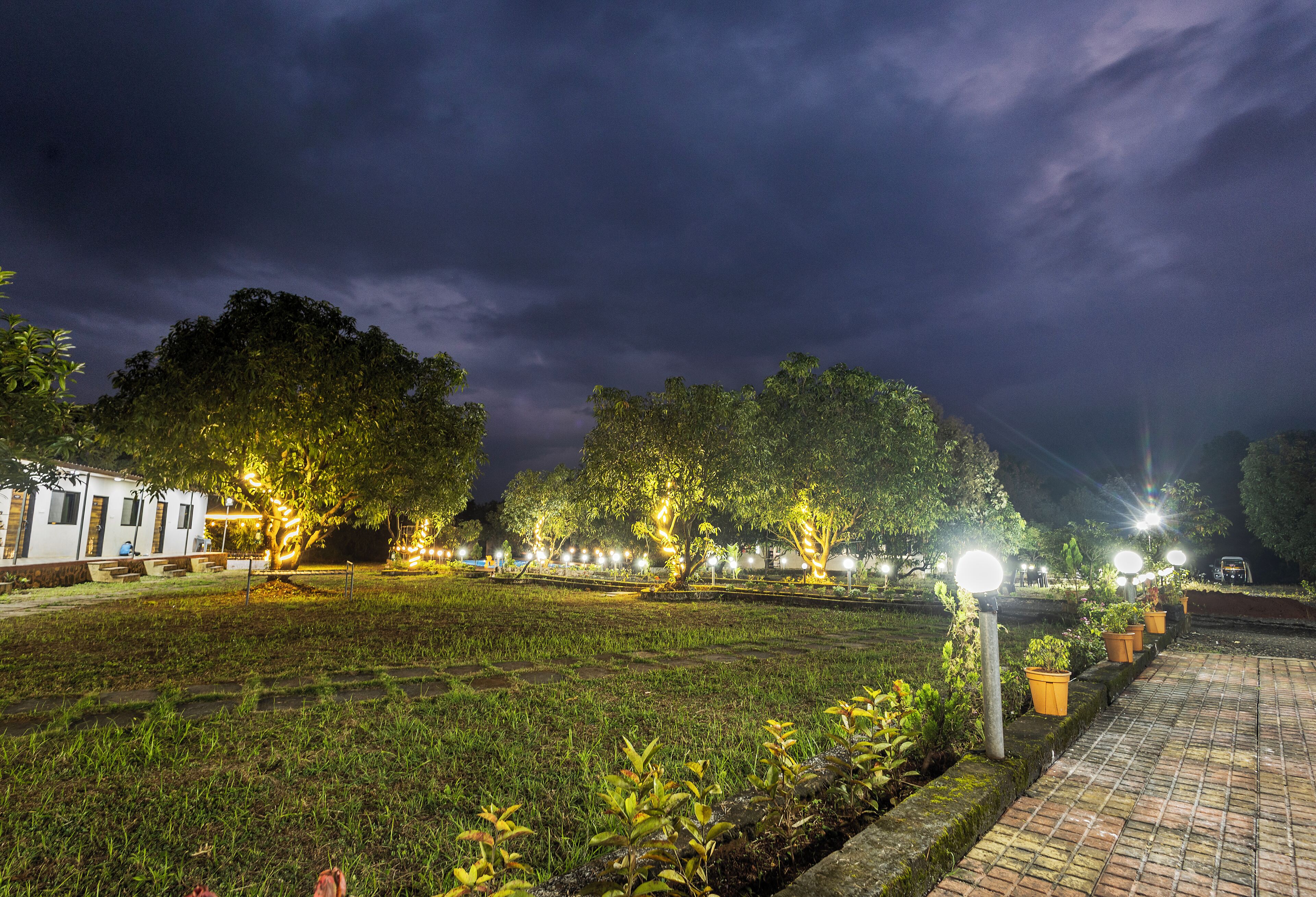 Un espace extérieur aménagé pour la nuit, avec un chemin pavé, des arbres et des éclairages décoratifs.
