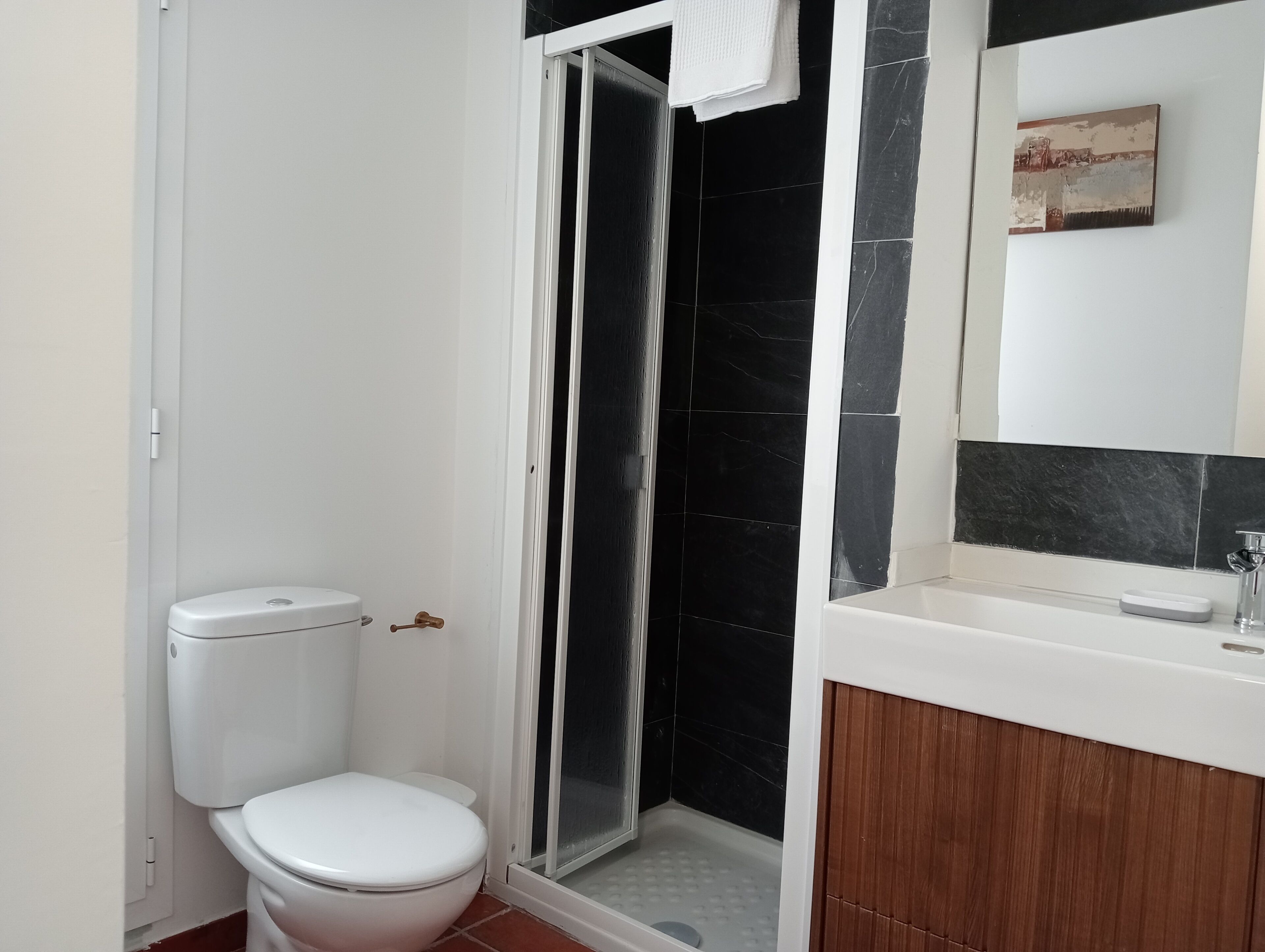 Un baño con inodoro, ducha con puerta de vidrio y lavabo con espejo superior.