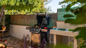 An outdoor kitchen with a grill, a bowl of vegetables, and a potted plant.