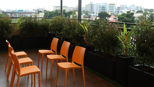Ảnh chưa phân loại, 1 trong số 14 ảnh, nút