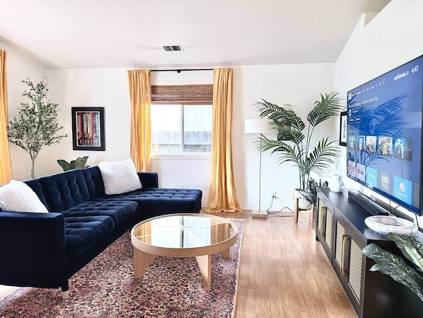 TV