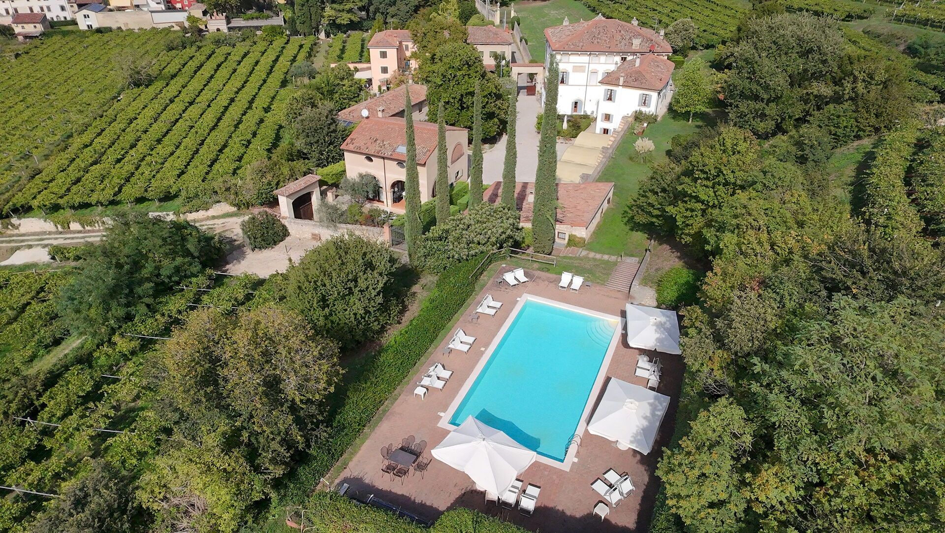 Vista aèria d'una propietat amb piscina, gandules i un viñedo.