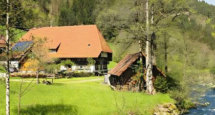 Doppelzimmer 9 – mit Dusche und WC, Bergblick, Balkon, Gemeinschaftsterrasse, WLAN