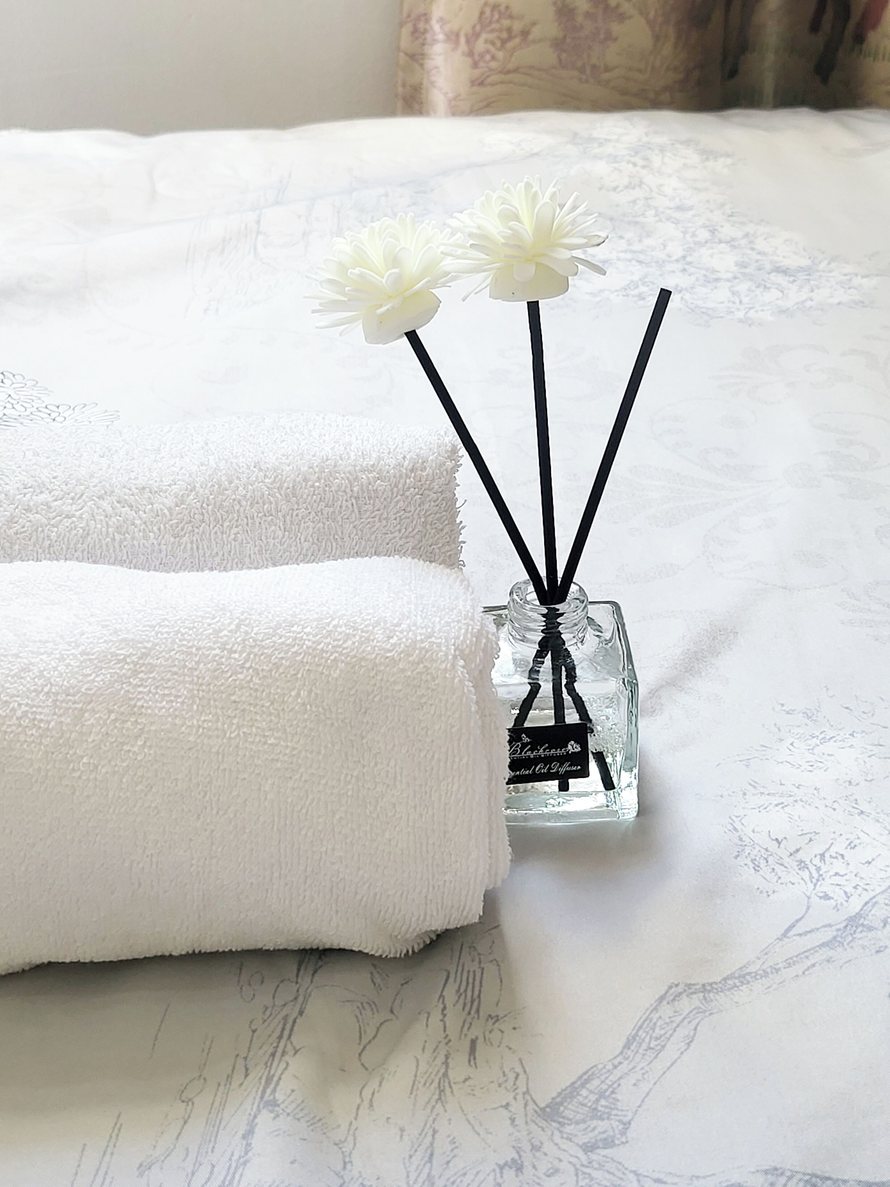 デスク、WiFi (無料)