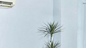 A room with a white bed, a white air conditioning unit, and a tall plant against a light blue wall. - H2T Hotel - Center Bui Vien (Ho Chi Minh City)