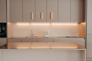 Fridge, oven, stovetop, dishwasher