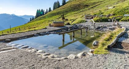 Nice apartment in Jochberg with ski-in, out