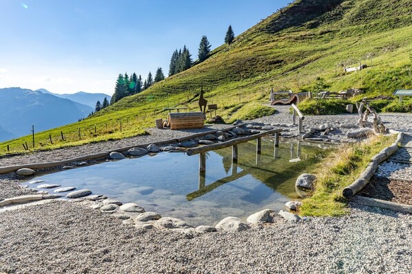 Un site de sources chaudes naturelles doté d’une structure en bois, d’un petit étang et d’un sentier rocheux.