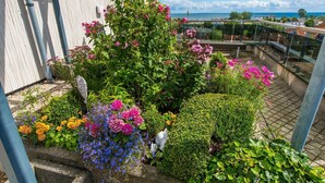 A rooftop garden with various flowering plants and shrubs, a metal railing, and a view of the sea and buildings in the background. - Berolina 314 - Sea whispers - "Sea whispers" with a view of the infinite (Dahme)