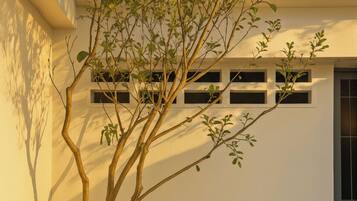 Luxury Studio, City View