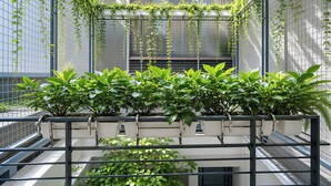A balcony with potted plants and a metal railing. - Centraltique Veranda Living (Hanoi)