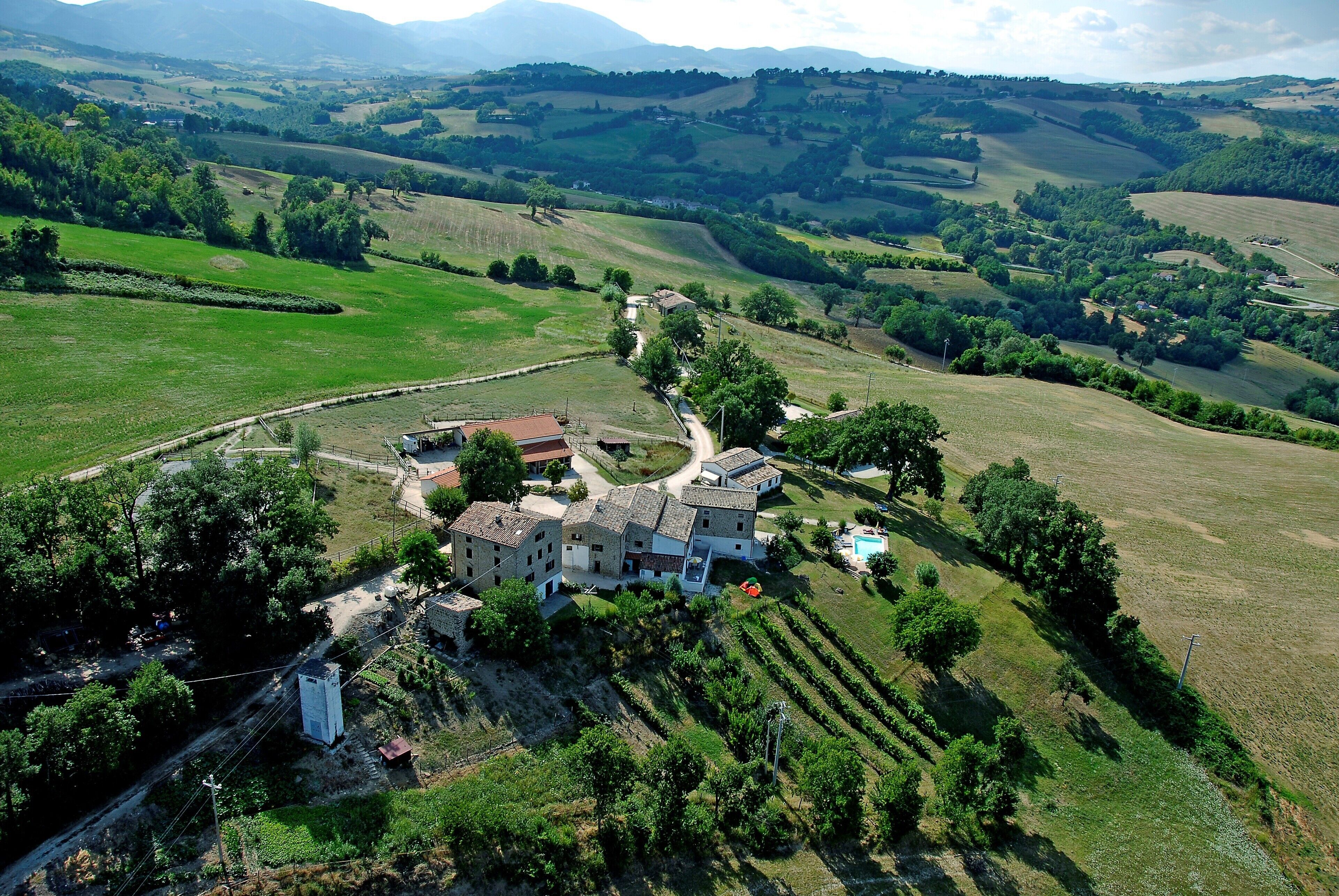 Vista aerea di una proprietà rurale con una grande casa circondata da campi e vigneti.
