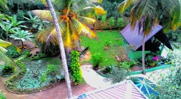 Un jardín tropical con palmeras, un pequeño estanque y un pabellón.