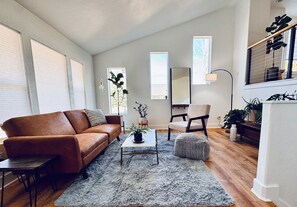 Smart TV, fireplace, books
