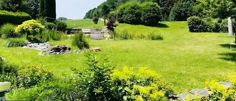 Área da propriedade