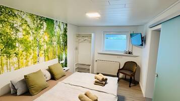 1 habitación, wifi y ropa de cama