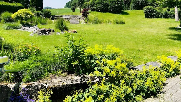 Un jardin luxuriant, avec une grande variété de plantes et un sentier en pierre.