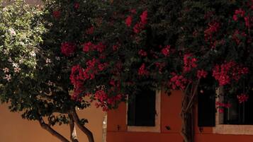 Parco della struttura