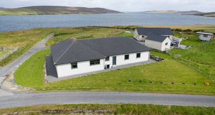 Calloo, Shetland Islands