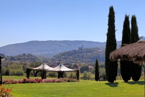 المنطقة المحيطة بالمنشأة