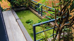 A small pond with a wooden deck and metal railing, surrounded by lush greenery. - Cattleya Guest House (Nosy Be)