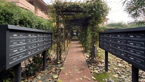 A pathway with a metal fence on either side, leading to a covered area with greenery. - Veliero Flexrent - Abyssinia Real Estate (Riccione)