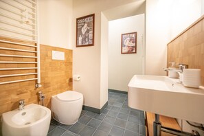 Shower, hair dryer, bidet, towels