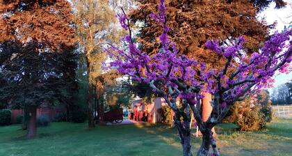 Gîte Jardin De Pomarède with Private Terrace, Wi-Fi and Air Conditioning