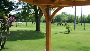 A stable with horses grazing in a grassy field, surrounded by trees.